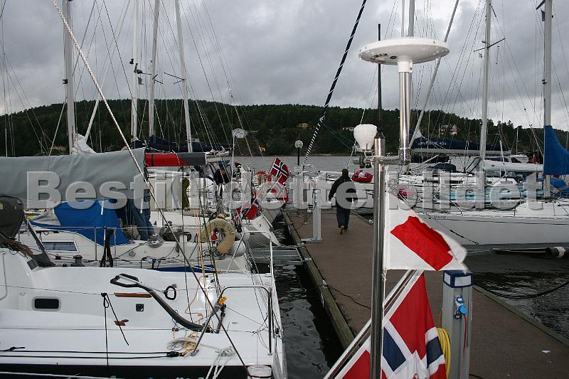 Hollenderseilasen 2009 4.jpg